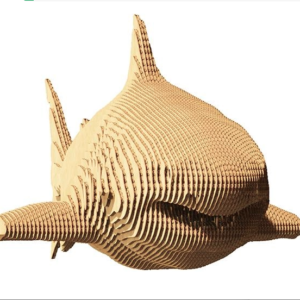 shark4
