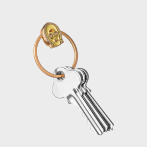 ring swr1
