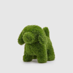 decoro cane