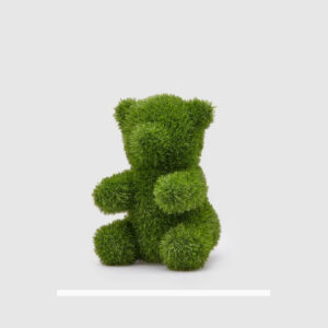decoro orso